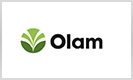 Olam