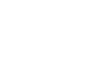 Classification by business function